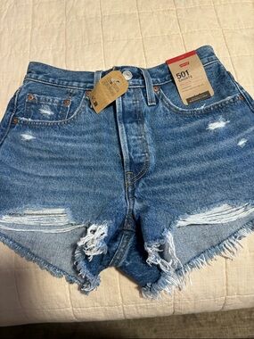 Levi's Distressed 501 Jean Shorts - Blue